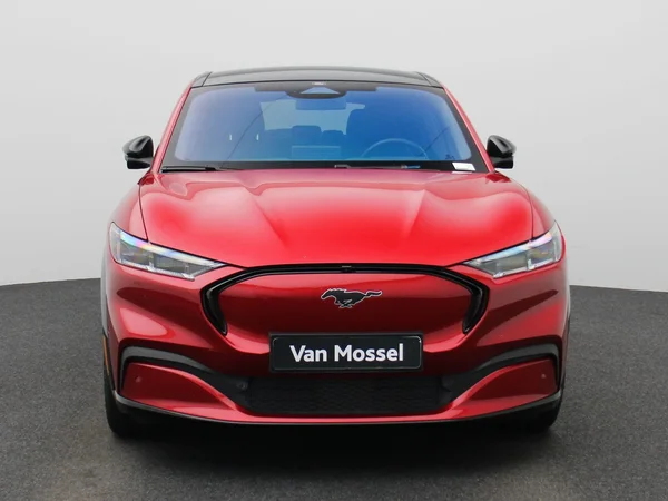 Ford Mustang Mach-E (2021) — foto 23 van 46