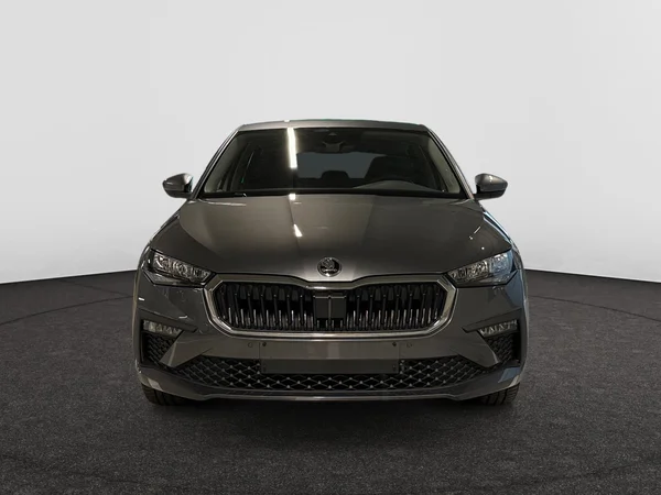 SKODA Scala (2025) — foto 13 van 16