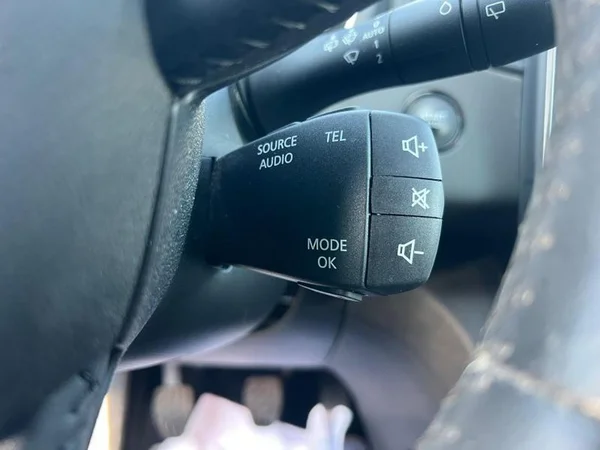 RENAULT Scénic Dsl (2019) — foto 7 van 25
