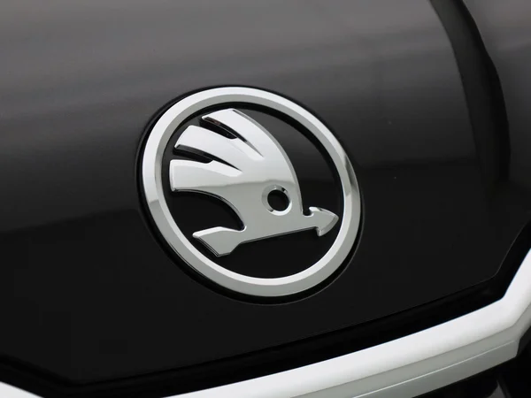 Škoda Kodiaq (2022) — foto 29 van 45