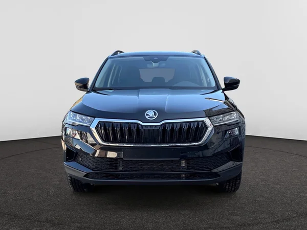 SKODA Karoq (2024) — foto 12 van 13