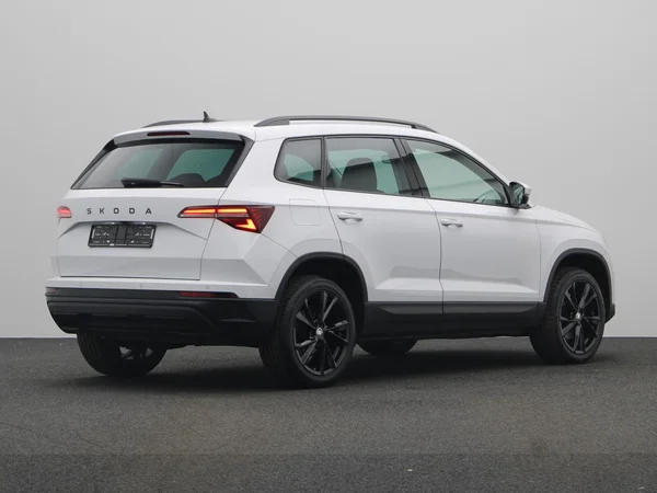 SKODA Karoq (2023) — foto 12 van 21