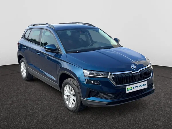 SKODA Karoq Dsl (2023) — foto 4 van 19