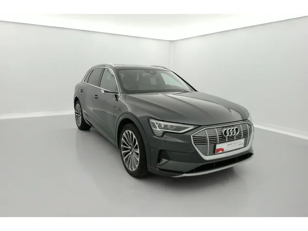 AUDI e-tron (2019) — foto 23 van 31