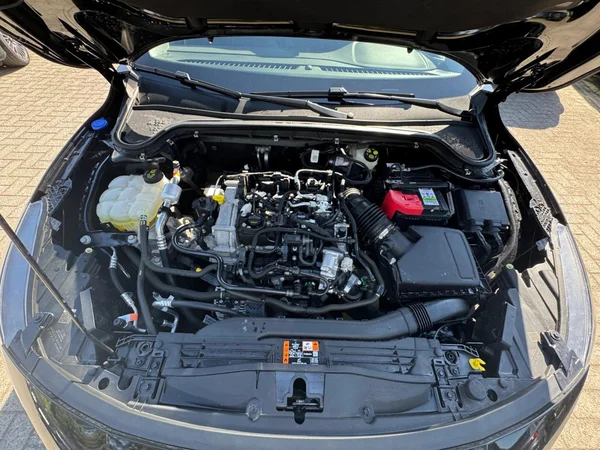 FORD Focus SW Active (2022) — foto 14 van 23