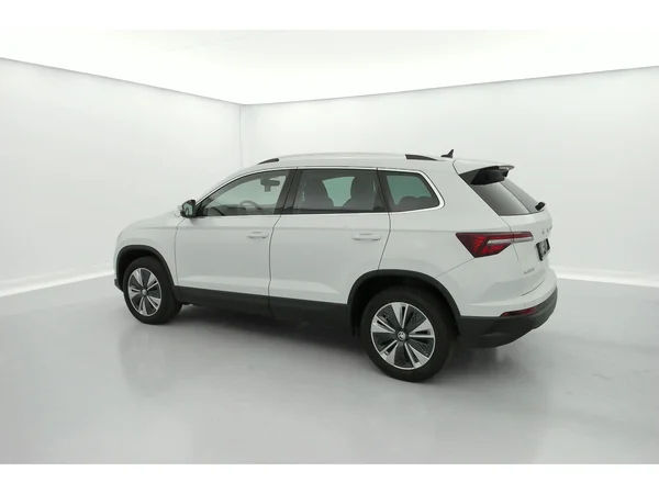 SKODA Karoq (2023) — foto 34 van 36