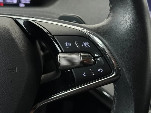 SKODA Enyaq (2022) — foto 9 van 32