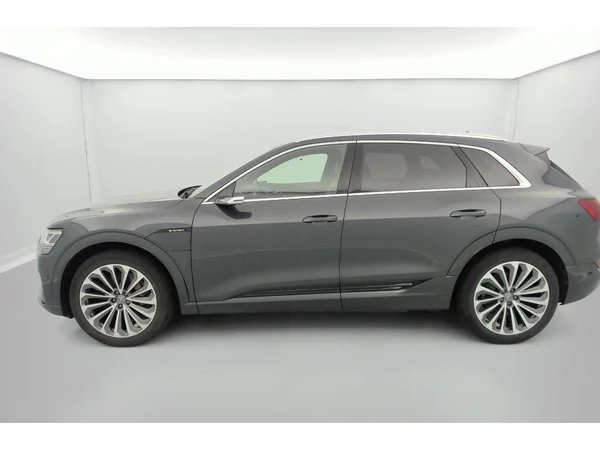 AUDI e-tron (2019) — foto 26 van 31