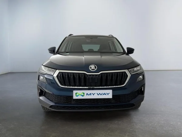 SKODA Karoq (2022) — foto 20 van 26
