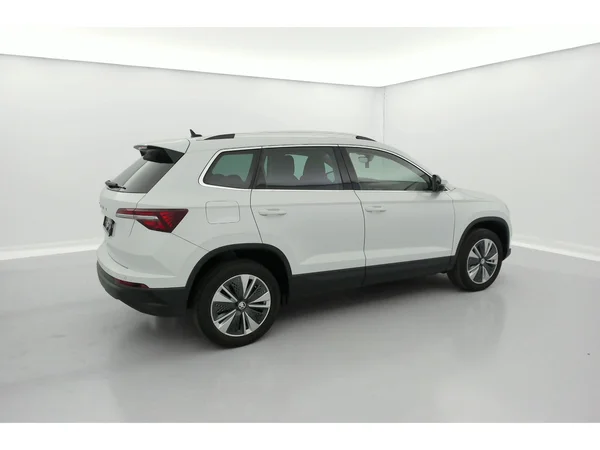 SKODA Karoq (2023) — foto 3 van 36