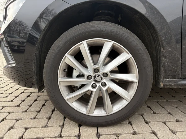 SKODA Kamiq (2026) — foto 14 van 23