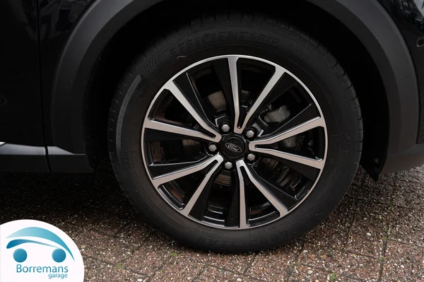1118_15261_2021-42.webp