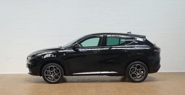 Alfa Romeo Tonale (2024) — foto 25 van 26