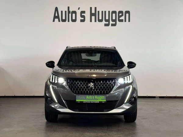 Peugeot 2008 (2022) — foto 9 van 16