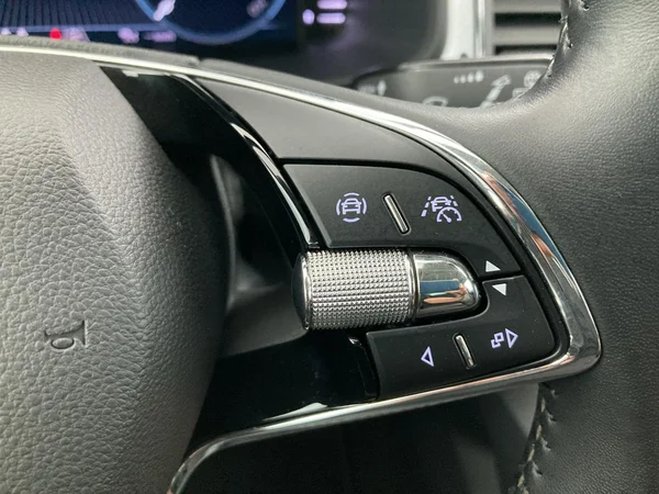 SKODA Kodiaq (2022) — foto 10 van 36