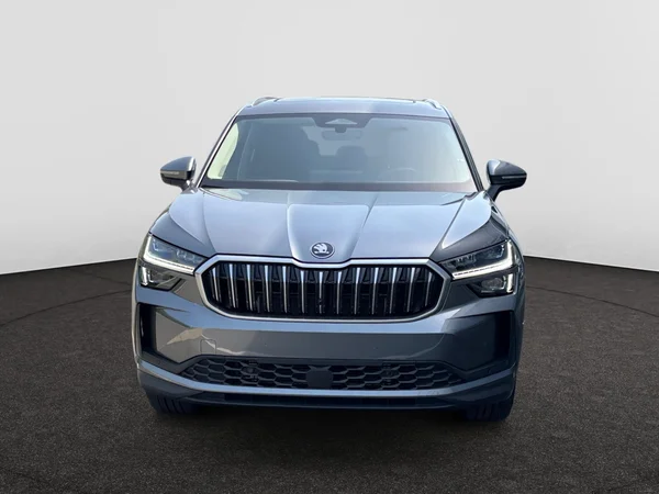 SKODA Kodiaq (2024) — foto 8 van 17