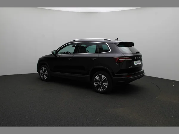 SKODA Karoq (2023) — foto 10 van 17