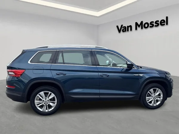 Škoda Kodiaq (2018) — foto 19 van 23