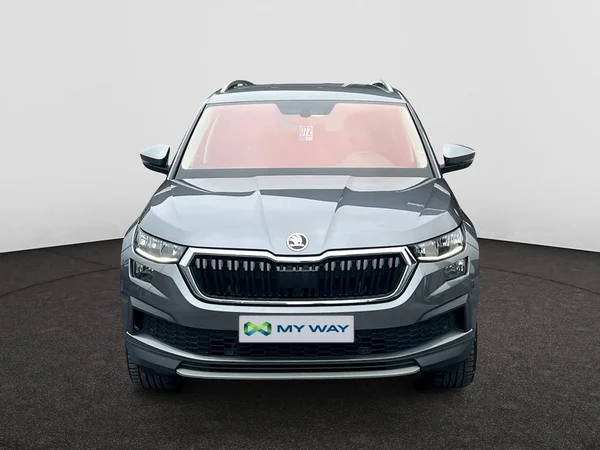SKODA Kodiaq Dsl (2022) — foto 12 van 18