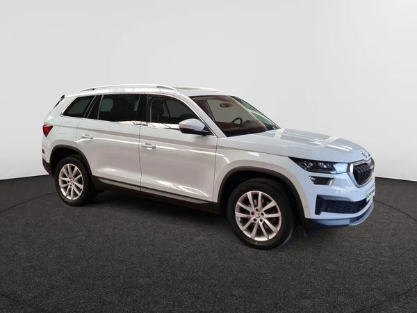 SKODA Kodiaq (2022) — foto 22 van 23