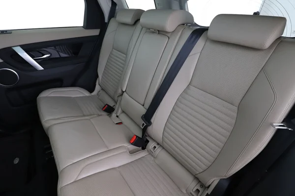 1113_15384a3c-c1c7-4f0e-b42e-e98e36f39373_2019-13.webp