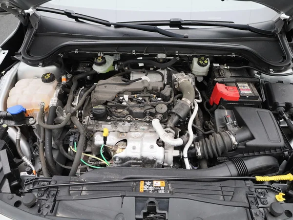 Ford Focus (2022) — foto 27 van 37
