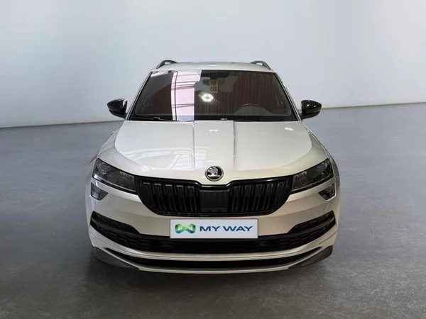SKODA Karoq (2021) — foto 23 van 33