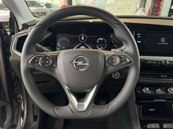 Opel Grandland (2024) — foto 9 van 18
