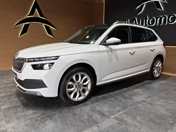 Skoda Kamiq (2020) — foto 18 van 26