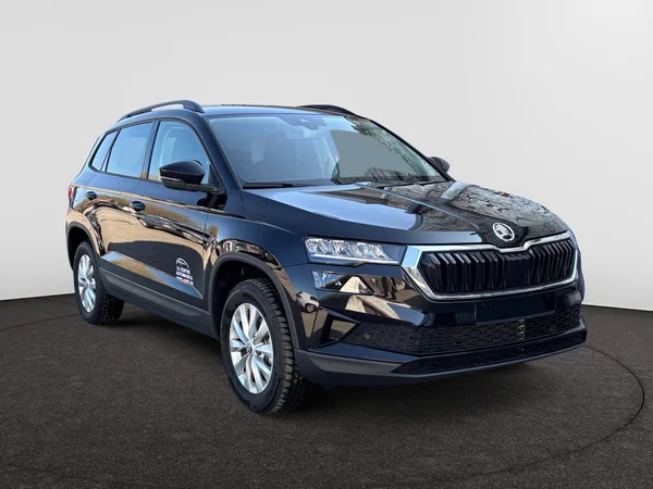SKODA Karoq (2024) — foto 13 van 13