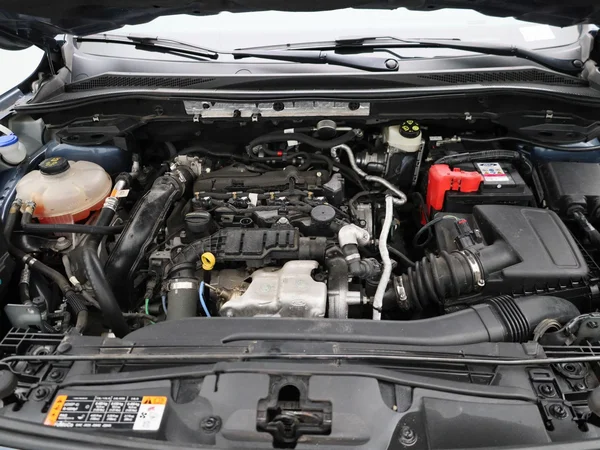 Ford Kuga (2022) — foto 31 van 49