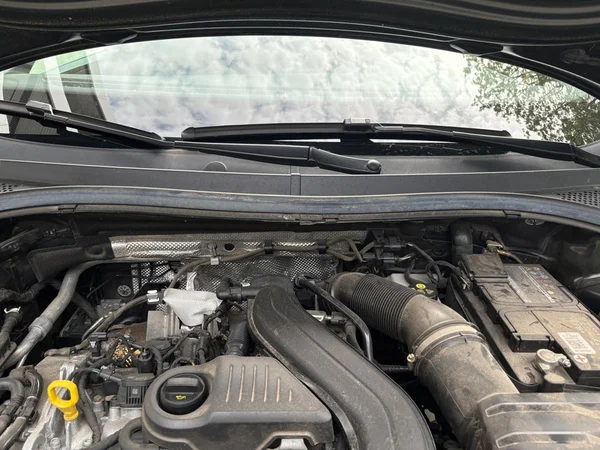 VOLKSWAGEN Tiguan (2023) — foto 15 van 24