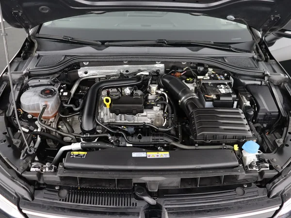 VOLKSWAGEN Golf (2024) — foto 6 van 27