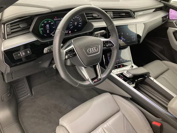 AUDI e-tron (2019) — foto 14 van 31