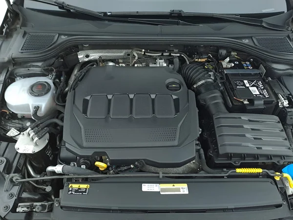 Volkswagen Golf VIII SW (2024) — foto 8 van 27