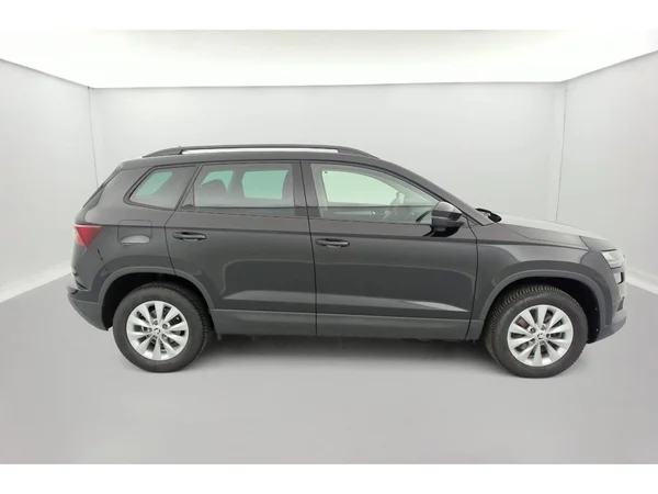 SKODA Karoq (2022) — foto 36 van 36