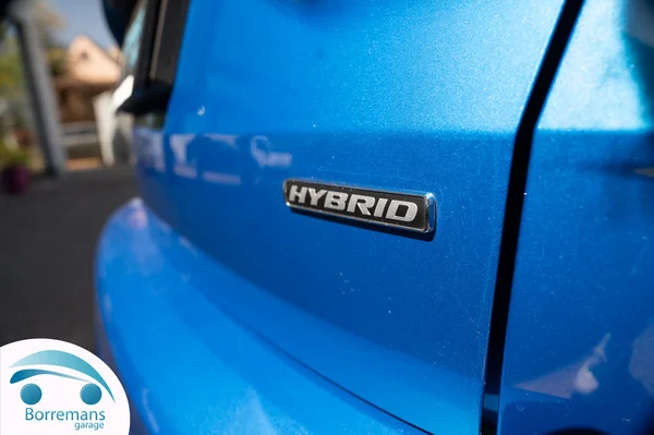 1118_15251_2025-31.webp