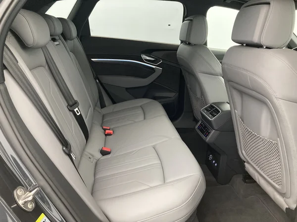 AUDI e-tron (2019) — foto 17 van 31