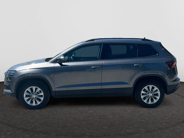 SKODA Karoq (2022) — foto 10 van 18