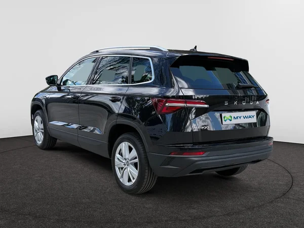 SKODA Karoq (2025) — foto 18 van 24