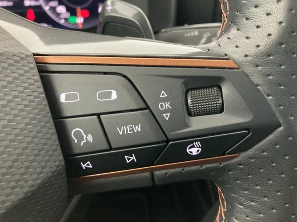 CUPRA Formentor (2024) — foto 10 van 36