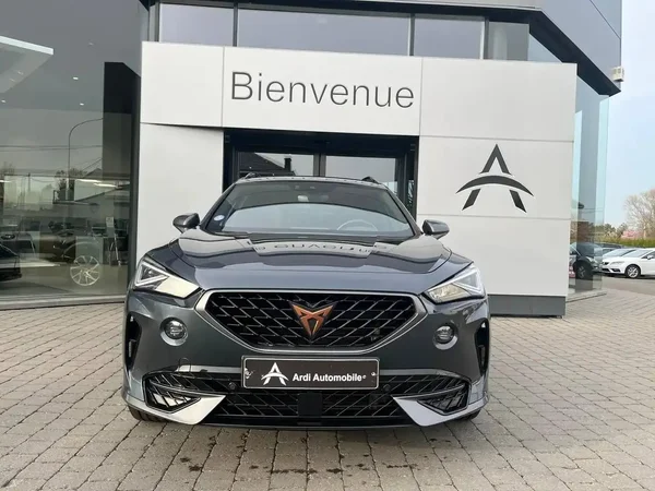 Cupra Formentor (2022) — foto 12 van 24