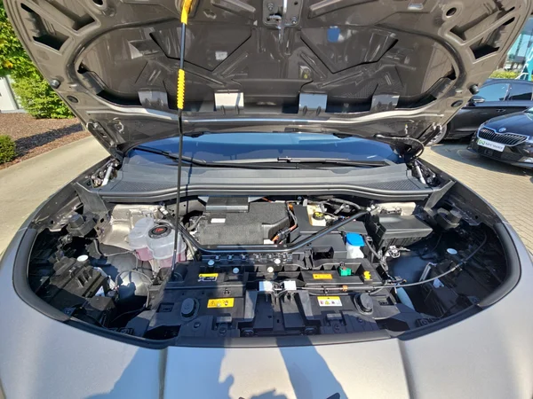 CUPRA Tavascan (2024) — foto 9 van 24