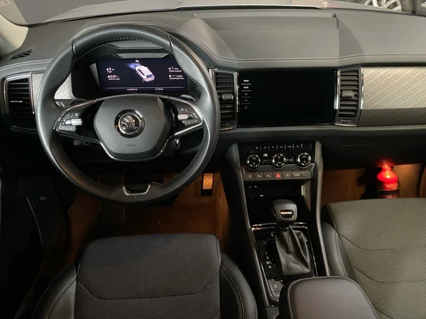 SKODA Kodiaq (2024) — foto 11 van 22