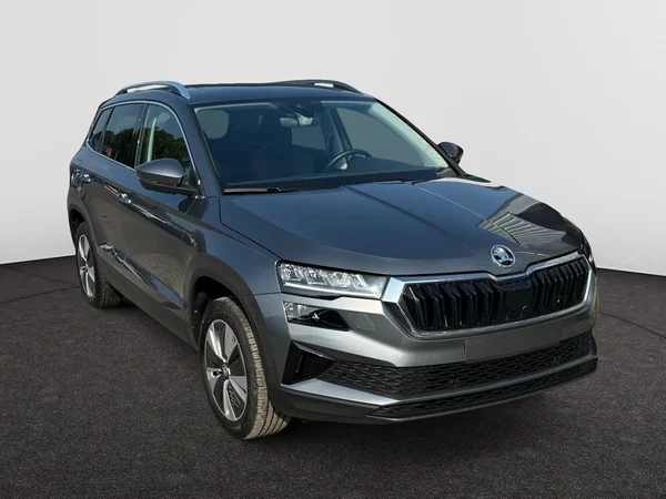 SKODA Karoq (2022) — foto 11 van 16