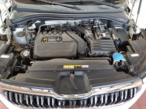 SKODA Kodiaq (2022) — foto 15 van 23