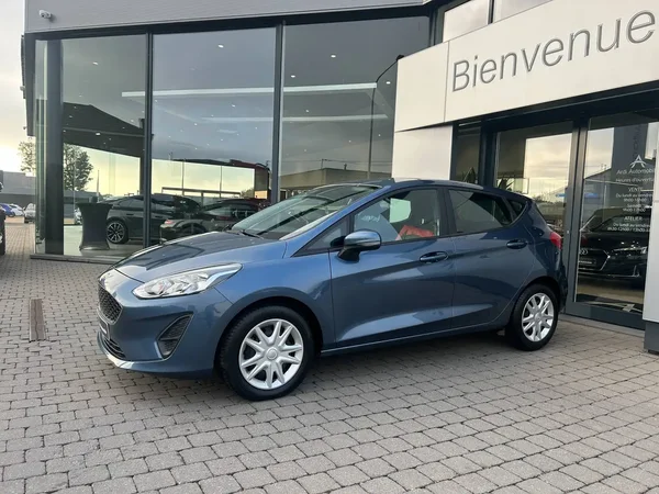 Ford Fiesta (2019) — foto 10 van 21