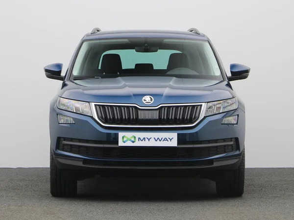 SKODA Kodiaq (2019) — foto 17 van 21