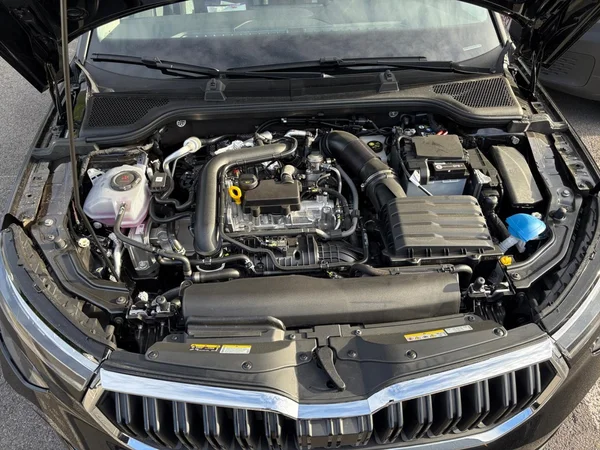 SKODA Kamiq (2026) — foto 15 van 24