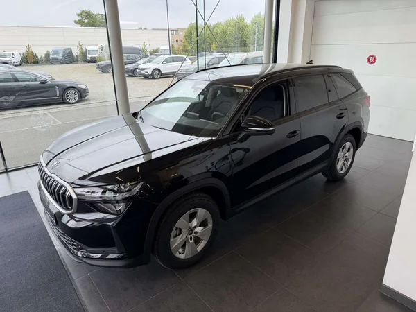 Škoda Kodiaq — foto 19 van 25